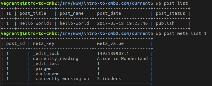 Displaying the hidden custom fields